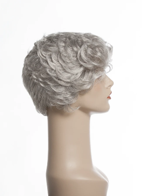 New Image Synthetic Wig Friends