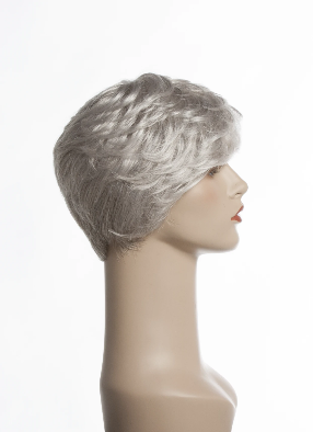 New Image Synthetic Wig Petite Choice
